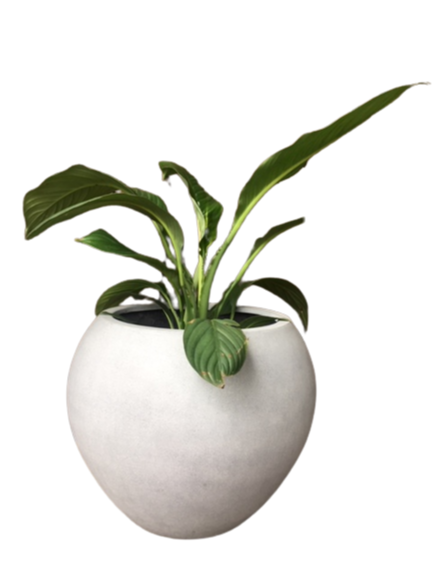 Evie Pot Grey